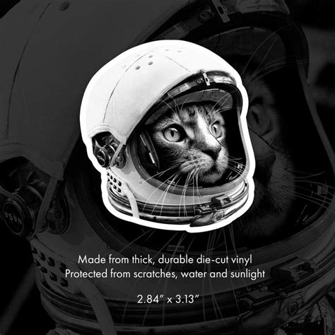 Astronaut Cat Sticker Black And White Space Cat Sticker Etsy