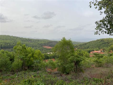 Agricultural Land 11 Guntha For Sale In Gokarna Uttara Kannada