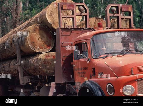 Malaysia Sabah Close Up Of Logging Truck Loaded With Hardwood Logs