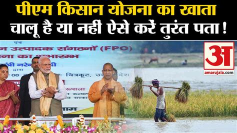 Pm Kisan Yojana Know Immediately Whether Pm Kisan Yojana Account Is Active Or Not Amar Ujala