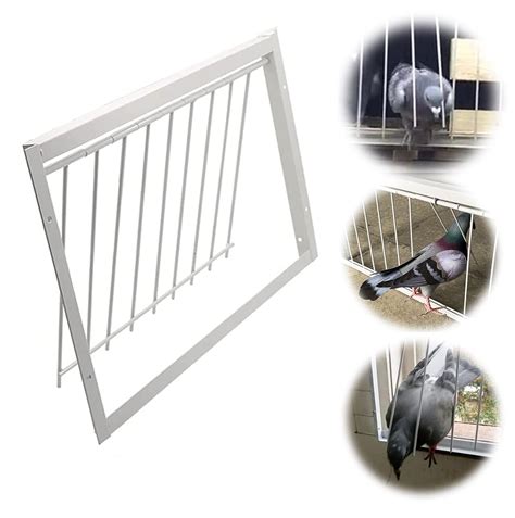 Buy Cm Pigeon Entrance Door Trap Racing Pigeon Birds Catch Bar Loft