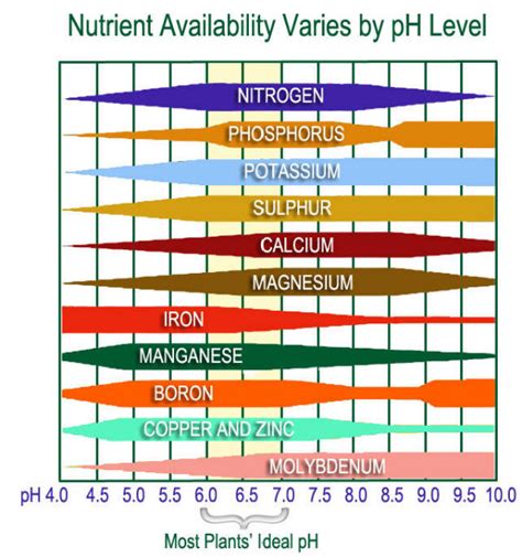 Soil Ph Ornamental Plant Care Information From Plantsgalorecom