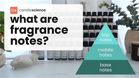 What Are Fragrance Notes Learn How To Describe Scents Using