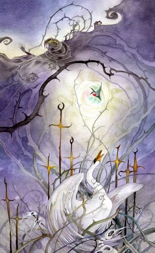 Lá Eight of Swords Shadowscapes Tarot 2025