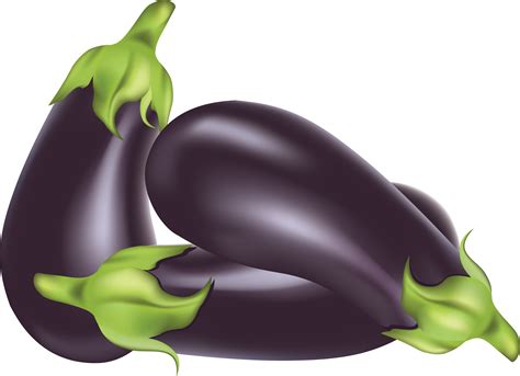 purple eggplant color 9