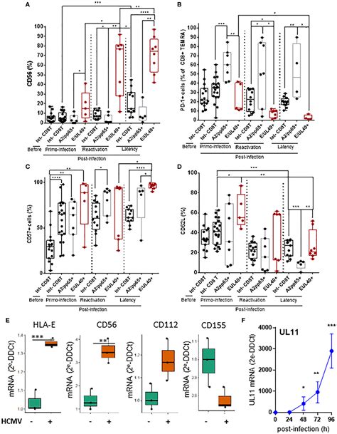 Frontiers Distinctive Phenotype For Hla E Versus Hla A2 Restricted