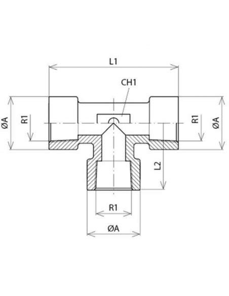 AX 31 NPT T Gal Femelle Femelle Femelle NPT NOX AISI 316 Aera