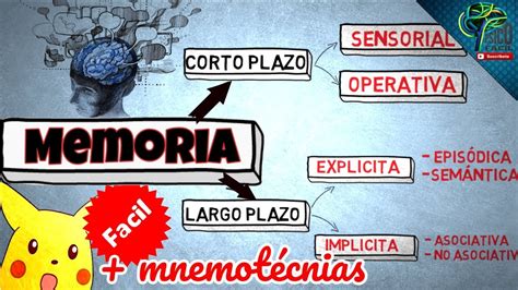 MEMORIA A CORTO PLAZO Y SUS TIPOS FACIL CON EJEMPLOS YouTube