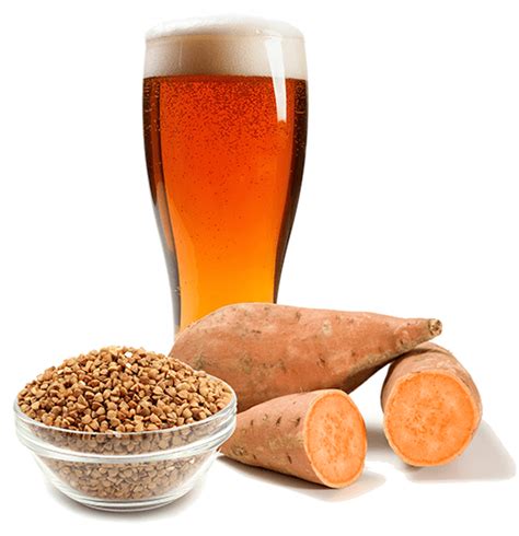 Gluten Free Beer Recipe: An Experiment With Sweet Potatoes And Buckwheat - Wine Making and Beer ...