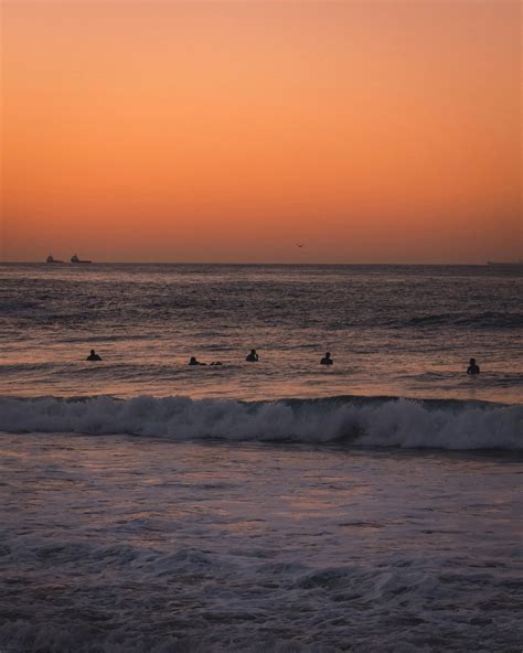 People on Beach During Sunset · Free Stock Photo