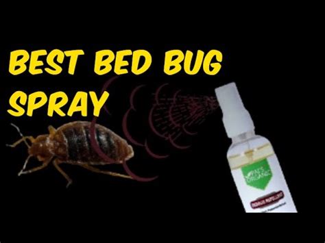 What Spray Kills Bed Bugs And Their Eggs Best Bed Bug Spray Youtube