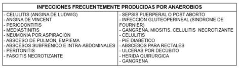 Infecciones Por Bacterias Anaerobias Cibic Laboratorios