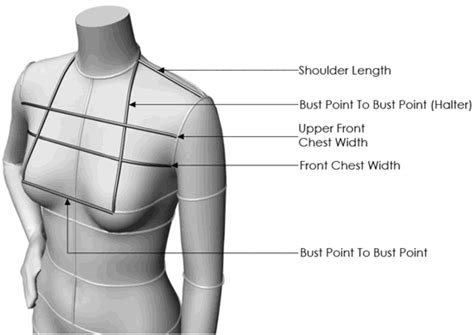 How To Take Bust Measurement – iBikini.cyou