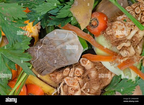 Organic Waste Kitchen Waste For Composting Stock Photo Alamy