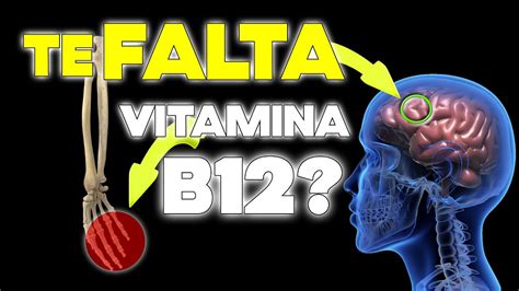 ¡alerta Mundial Los SÍntomas De Alarma Por Falta De Vitamina B12