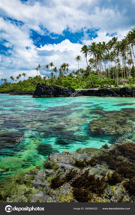 Playa Tropical Lado Sur Isla Samoa Con Palmeras Coco Foto De Stock