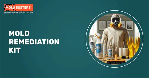 Mold Remediation Kit Safe And Effective Diy Solutions