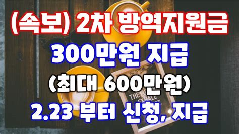 2차 방역지원금 300만원 지급최대 600만원 2월 23일부터 신청 지급 Youtube