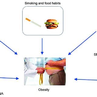 Etiological factors responsible for obesity, genetic causes are the ...