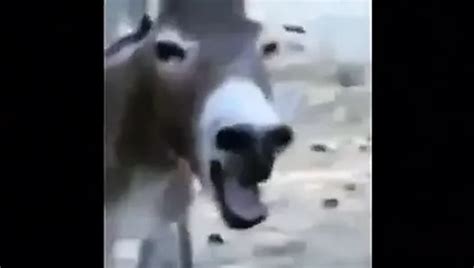 Free Omg Porn Videos Xhamster