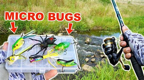 Micro Bug Lure Creek Fishing Challenge They Worked Youtube