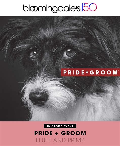 PRIDE+GROOM Fluff and Primp at Bloomingdale's 59th - NYC Dog Events