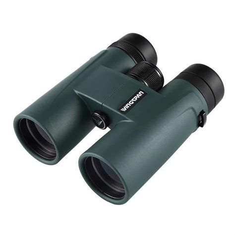 5 Best Binoculars For Birding Reviews Updated 2020 GigOptix