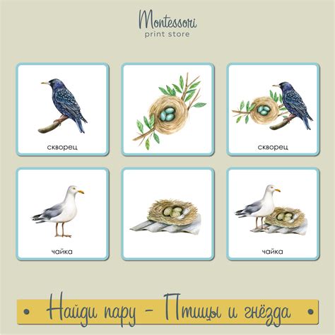Монтессори космическое воспитание. Мир животных