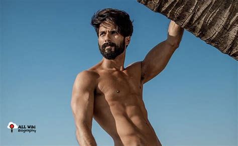 Shahid Kapoor Movies List From His Debut Movie