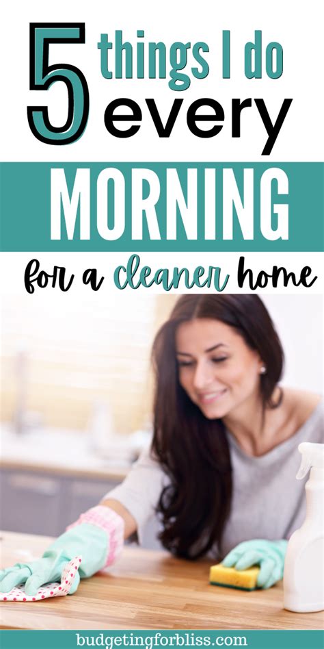 Quick 5 Step Morning Cleaning Routine Budgeting For Bliss Cleaning