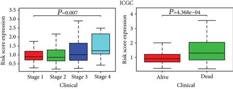 The Differences Between High And Low Risk Groups In The Icgc And Tcga