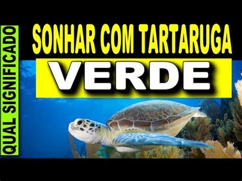 Sonhar Tartaruga Verde O Que Significa Sonhar Tartaruga