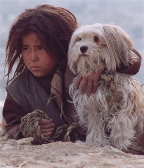 Stray Dogs 2006, directed by Marzieh Meshkini | Film review