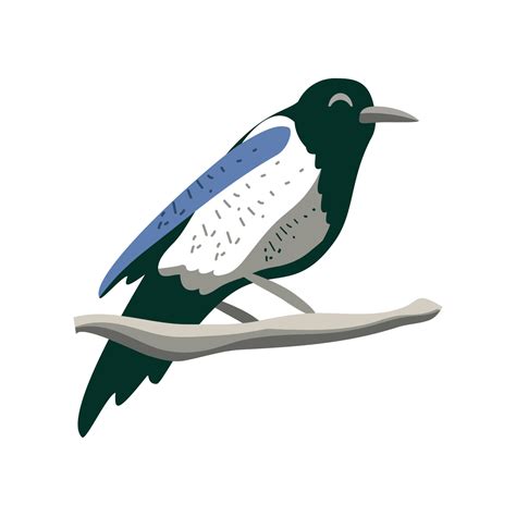 Magpie Bird Of Korea Vector Art At Vecteezy