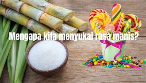 Cara Membuat Gula Aren Arenga Indonesia