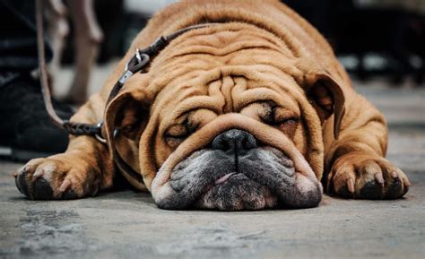 types  shots  angles  filmmaker