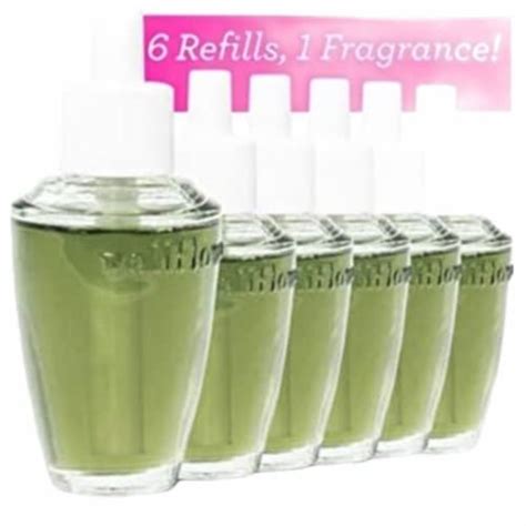 Los 5 Mejores Modelos De Body Fresh