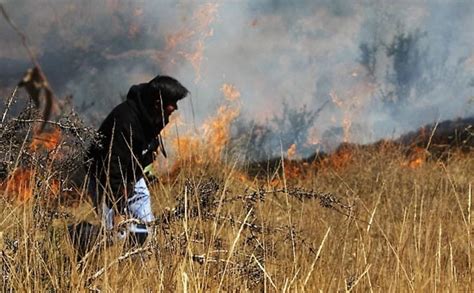 Gobierno Declara Emergencia En Siete Distritos Afectados Por Incendios