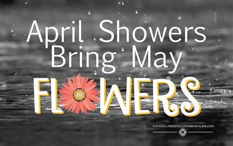 April Showers Bring May Flowers No Rain No Flowers Beautiful