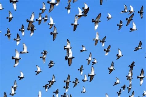 Understanding Diabetic Foot Pain: Symptoms That Demand Attention