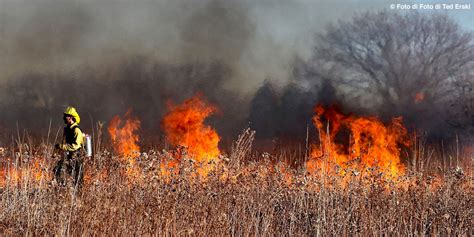 Tuscolo In Fiamme La Dea Bendata