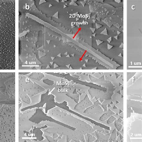 Sem Images Of Mos Nanoribbons A Sem Image Of A Large Mos