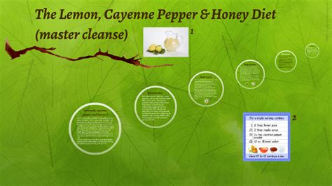Lemonade And Cayenne Pepper Diet