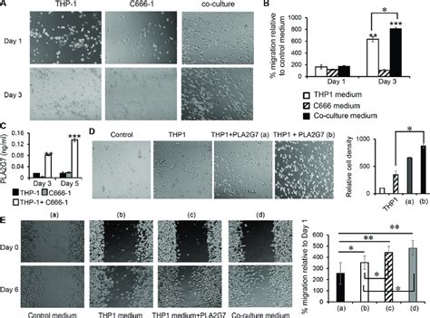 Culture Supernatant From Thp 1c666 1 Co Culture Promotes Npc Cell