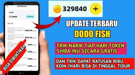 UPDATE BARU DODO FISH Trik Cara Dapat Banyak Koin Dodo Fish WD