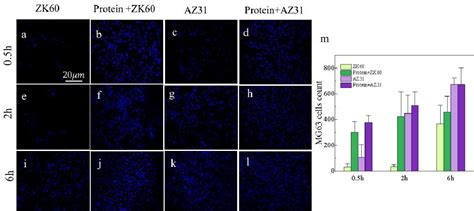 Figure 2 From MD Simulations And Experiments Of Plasma Proteins