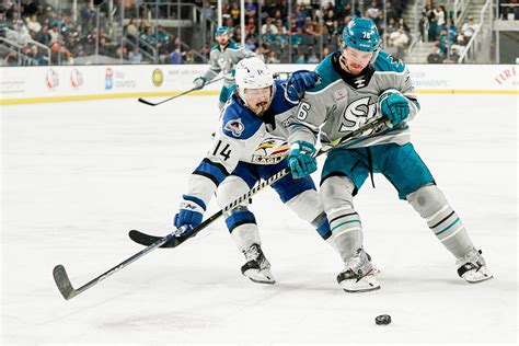 Barracuda Fall To Eagles 4 0 Pro Hockey News