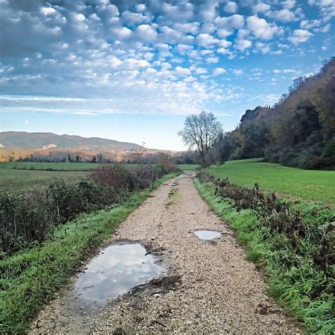 Tra Torrita E Filacciano Lungo La Valle Del Tevere Novembre