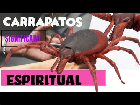 significado espiritual de carrapato - carrapato em você - carrapato em ...