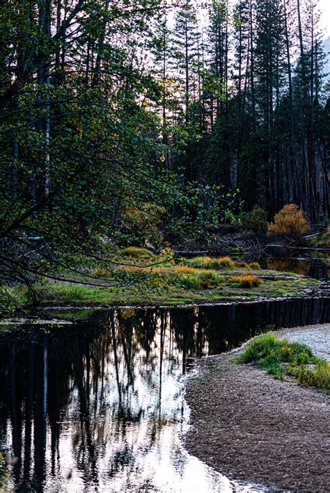 ascending  descending merced river tree drawing natural landmarks